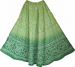 Beautiful indian light green long skirt with silver sequins
